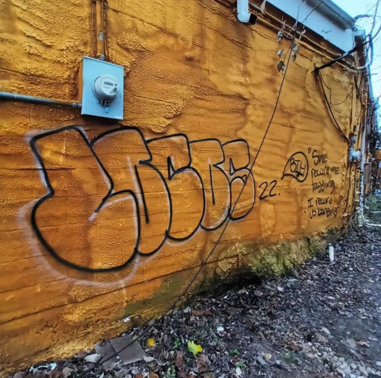 Graffiti on wall by locos